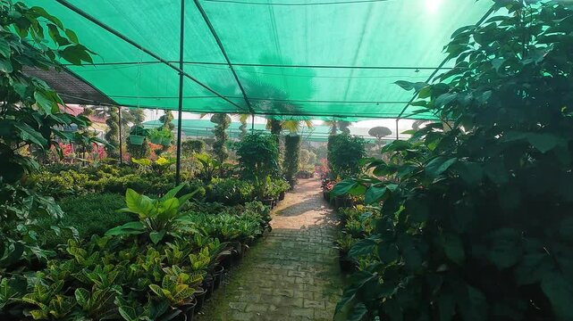 Awesome Image